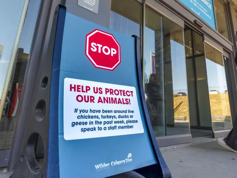 Avian Flu Outbreak at Calgary Petting Zoo Raises Alarm: What You Need to Know