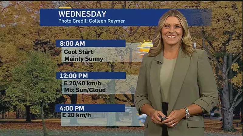 Don't Let Rain Spoil Your Halloween! Essential Tips for Weather-Proofing Your Costumes