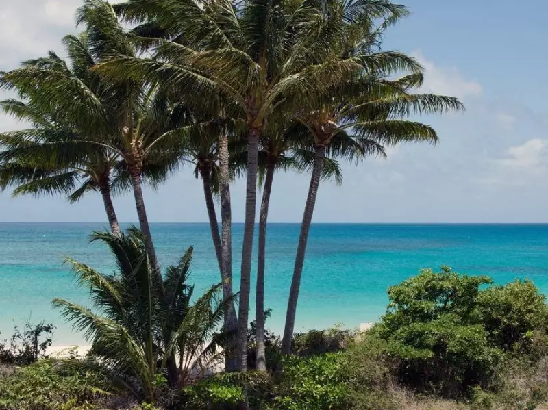 Elderly Cruise Passenger Left Behind on African Island Found Dead in Travel Nightmare