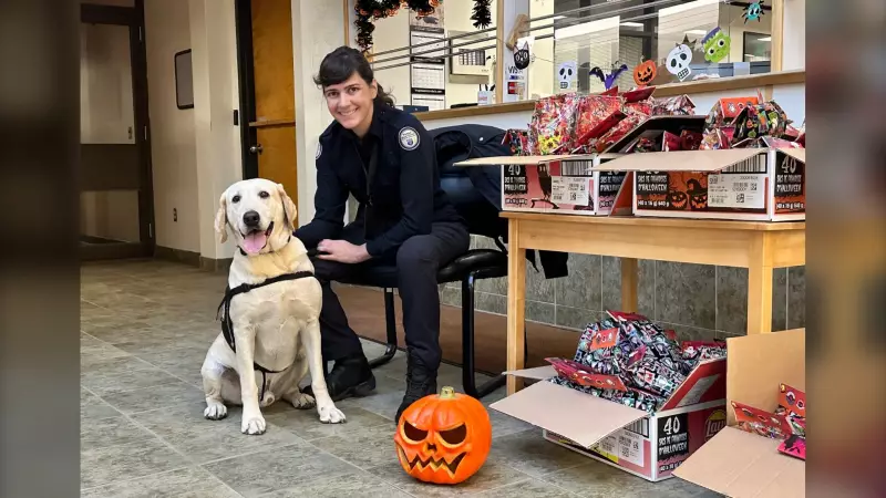 North Bay Police Share Essential Halloween Safety Tips for a Spooktacular Night