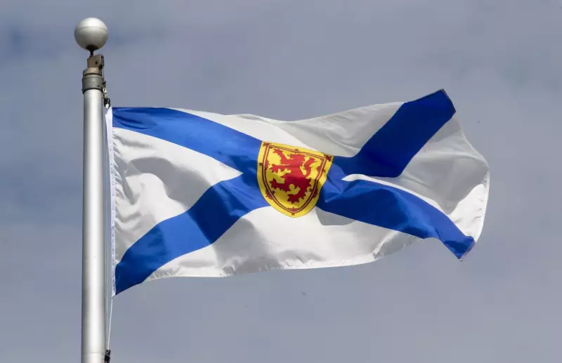 Nova Scotia Takes Action: New Appointees Join Minister's Table to Combat Gender-Based Violence