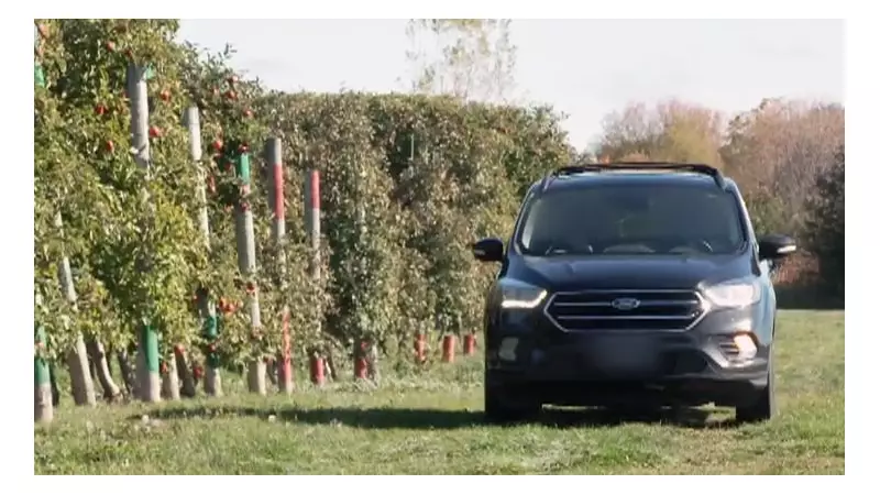 Ontario's Pick-Your-Own Farms Face Growing Crisis: Rampant Theft Threatens Local Agriculture