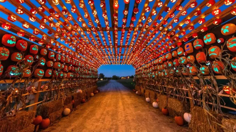 Spooktacular Calgary: 10 Must-Do Halloween Activities for a Frightfully Fun Weekend