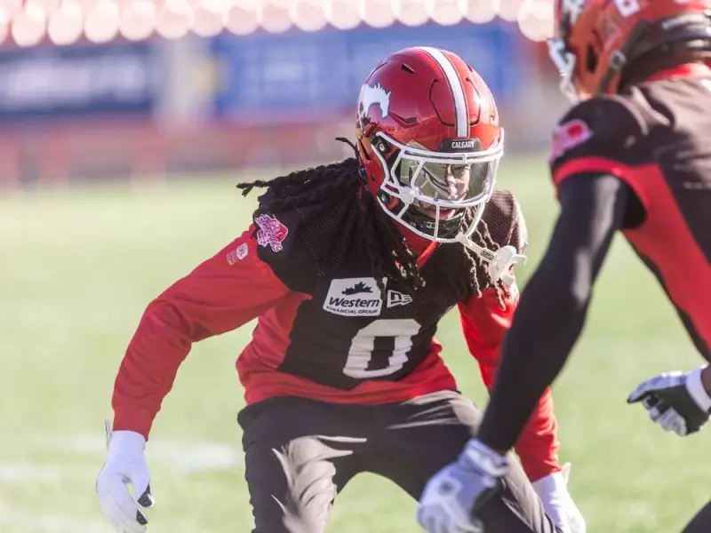 Stampeders Shine Bright: Seven Calgary Players Named CFL West Division All-Stars