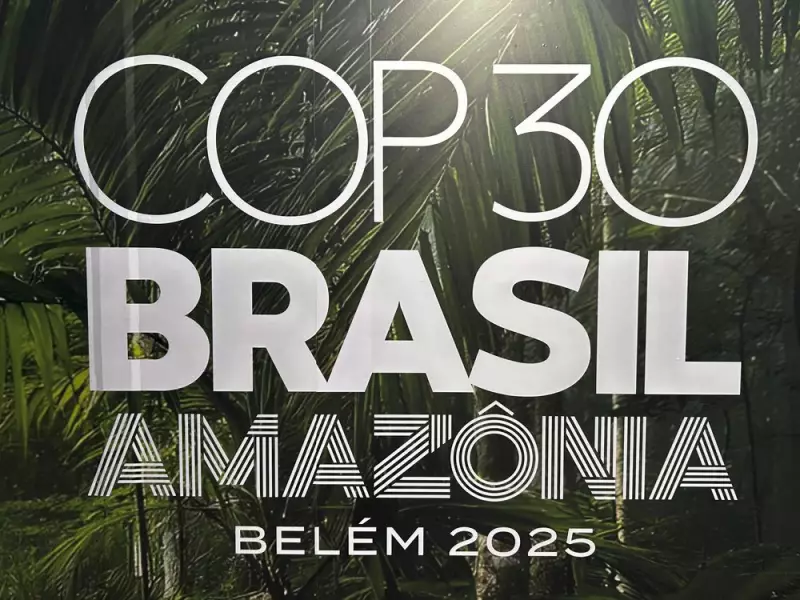 U.S. Skips Critical UN Climate Summit: What It Means for Global Climate Action