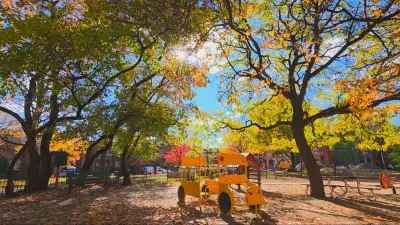Ottawa Weather Rollercoaster: Sunshine Today, Soaking Rain Expected Thursday