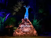 A Muggle's Guide to Surviving a Harry Potter Themed Conundrum | National Post