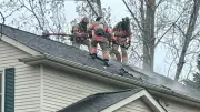 Bathroom Fan Sparks Devastating $200K House Fire in London, Ontario
