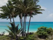 Elderly Cruise Passenger Left Behind on African Island Found Dead in Travel Nightmare