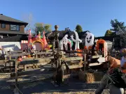 Halloween Generosity Gap: Quebec Kids Top Trick-or-Treaters While Parents Cut Back on Candy