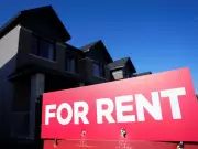 Immigration Cuts Could Cripple Canada's Economy, Experts Warn