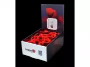 Royal Canadian Legion Launches 2025 National Poppy Campaign: Honouring Canada's Veterans