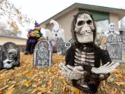 Your Ultimate Guide to Saskatoon's Weekend: Spooky Fun, Live Music & Cultural Delights