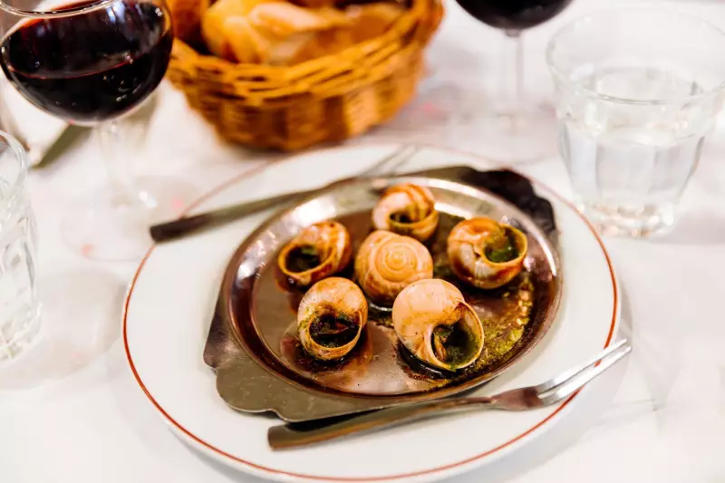 $100K Escargot Heist Hits French Snail Farm Before Holidays