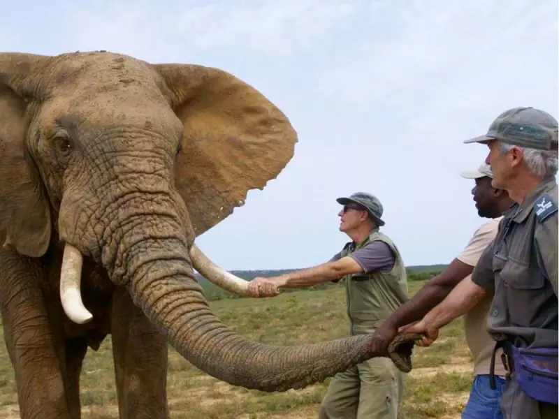 5 Must-See B.C. Films at the 25th Whistler Film Festival