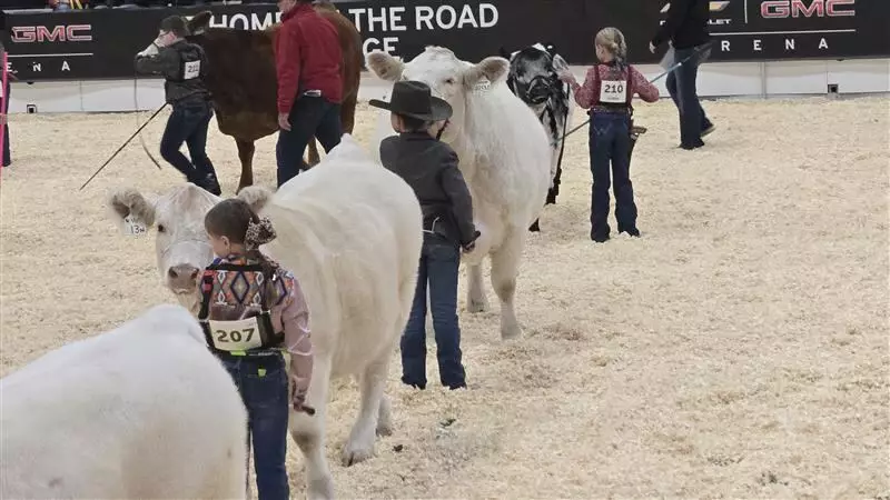 54th Canadian Western Agribition Opens in Regina with Strong Start