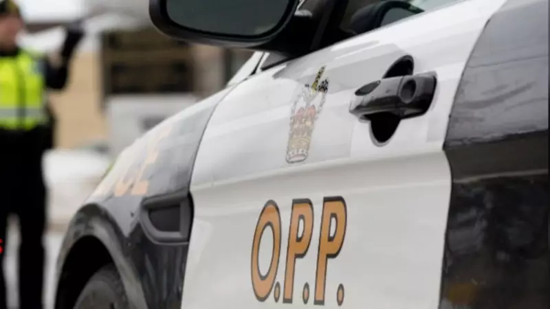 61-Year-Old Woman Dies in Tragic Three-Vehicle Collision Near Smiths Falls