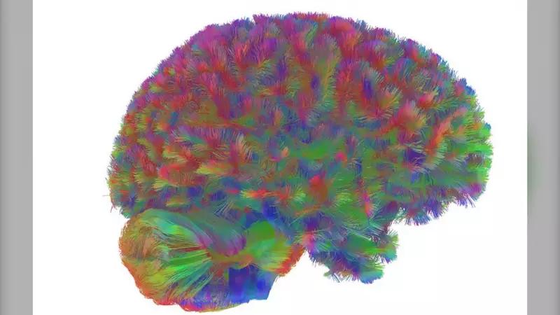 Adolescence Lasts Until 32: Cambridge Study Redefines Brain Development