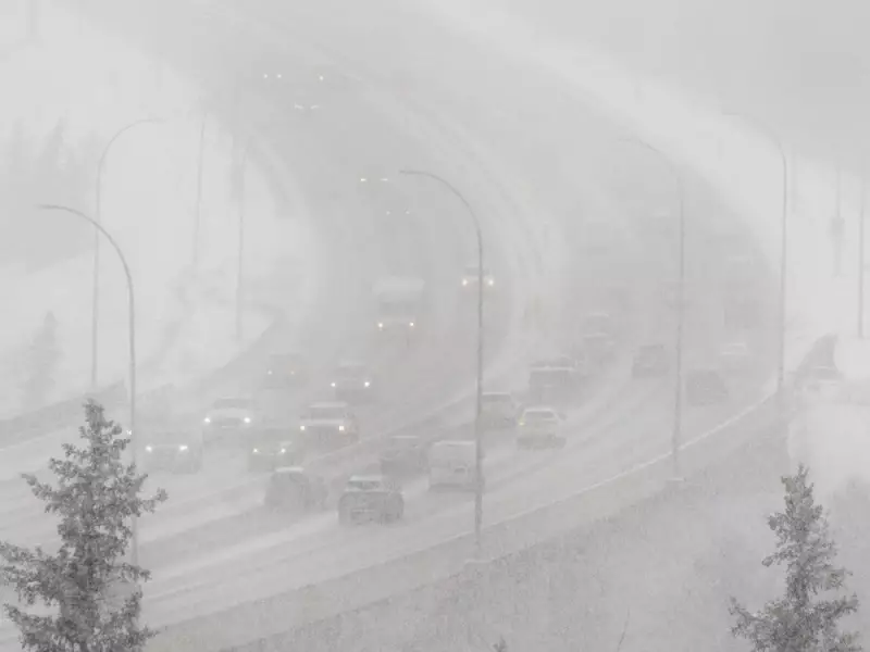 Alberta Winter Driving Turns Treacherous: RCMP Respond to Dozens of Highway Incidents Amid Snowstorm