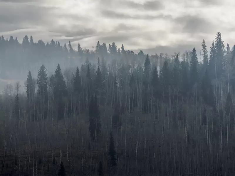 Alberta's Moody Skies: A Photographer's Quest for Perfect Bad Weather