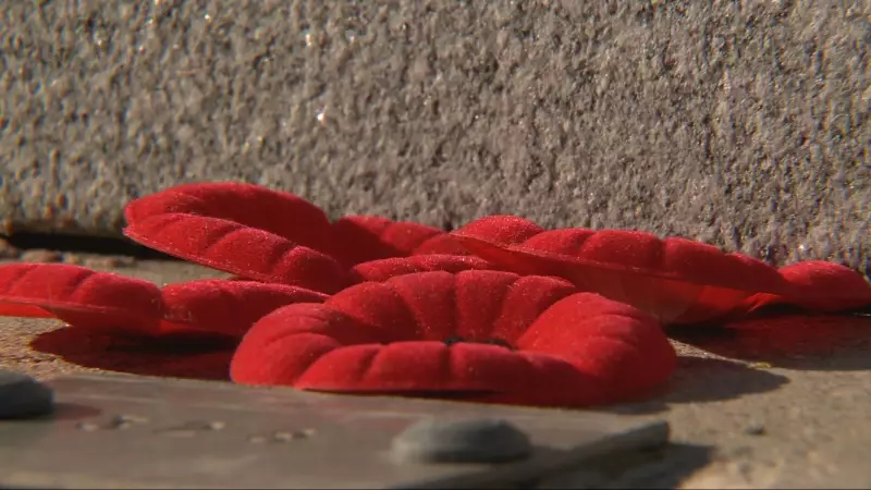 Are Canada's Veterans Receiving Adequate Support? National Debate Intensifies