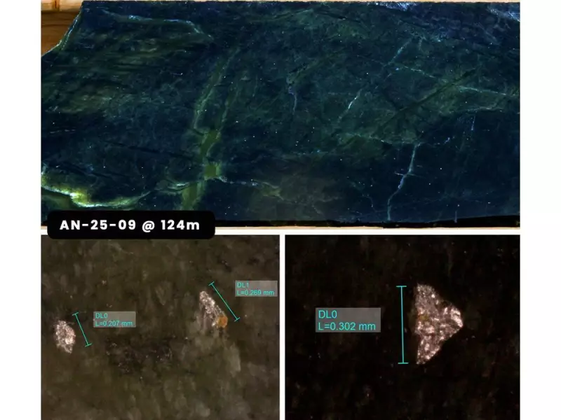 Atlantic Nickel Makes Major Discovery: RPM Zone Expands to 4km of High-Grade Nickel Alloy