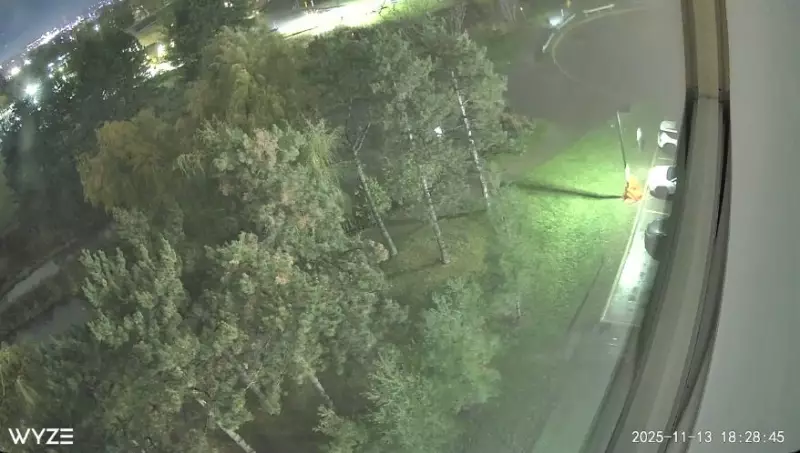 Barrie Police Investigate Downtown Condo Break-In on Ellen Street