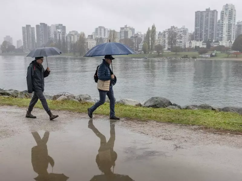 B.C. South Coast Braces for Heavy Rainfall: Up to 100 mm Expected