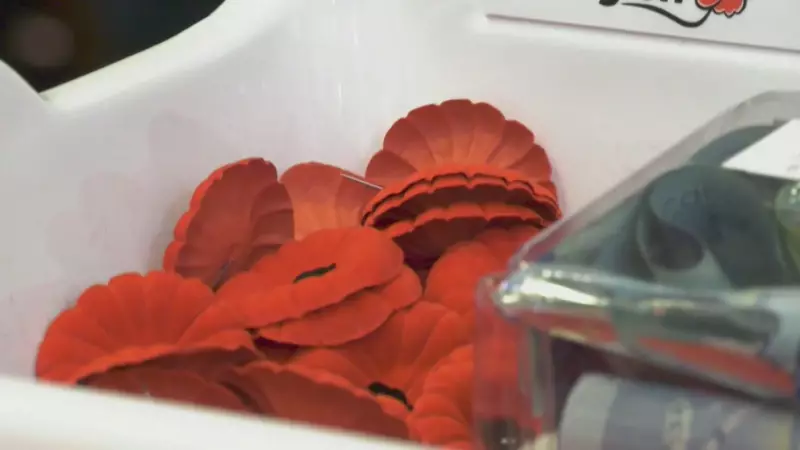 Beyond the Poppy: How Canadians Are Honouring Veterans This Remembrance Day
