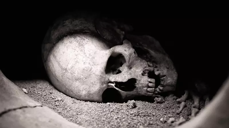 Boston Construction Crew Finds Fake Human Skull in Concrete