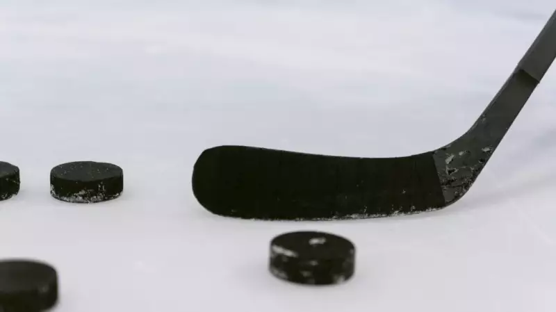 Brampton Minor Hockey Association Volunteer Charged With Fraud Over $5,000