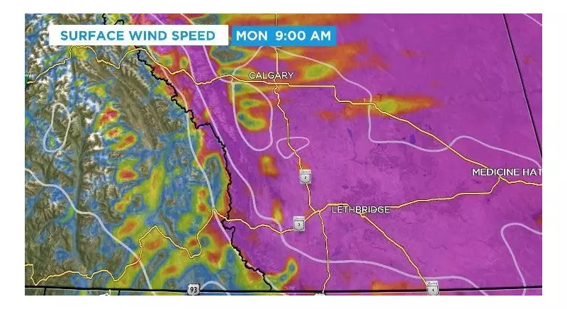 Calgary Faces 115 km/h Wind Gusts in Rare Weather Event