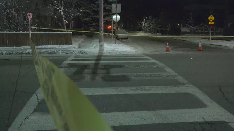 Calgary Police Commission to Review 2026 Traffic Safety Plan After 31 Road Deaths
