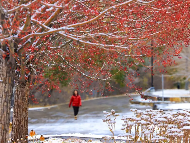 Calgary Weekend: Remembrance Ceremonies, 9-1-1 Heroes & Winter Sports