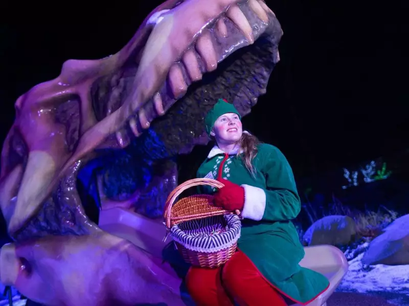 Calgary Zoo Lights Up with 700,000 Lights for 29th Zoolights Event