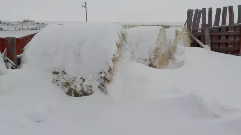 Calgary's Cool Weather Preview: Snow and Freezing Rain Expected