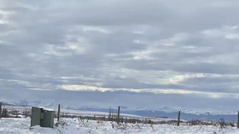 Calgary's Deep Freeze Continues: Sub-Zero Temperatures Until Monday