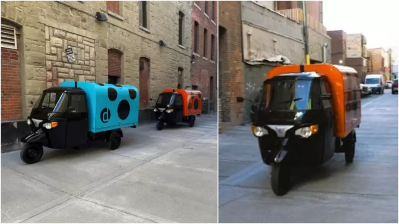 Calgary's Ladybug Clean Team Transforms Downtown Alleys for Safety