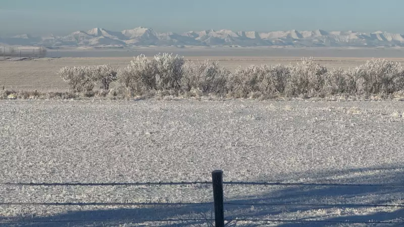 Calgary's Next Snowfall: Lighter Snow, Persistent Cold Ahead