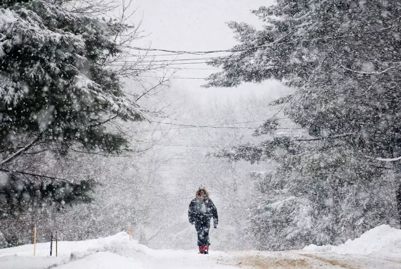 Canada's Winter Forecast: A Return to Classic Cold and Snow