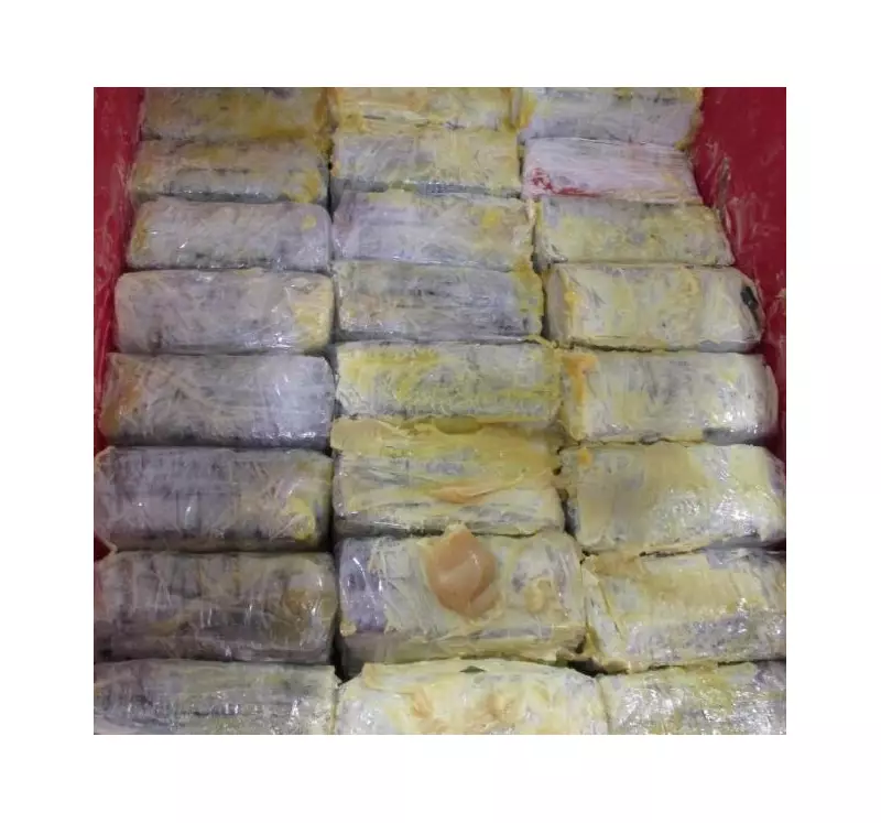 CBSA Seizes 200kg of Cocaine Hidden in Paint Pigment Shipment in Vancouver