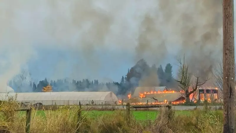 Chilliwack Chicken Barn Destroyed by Fire on November 25, 2025