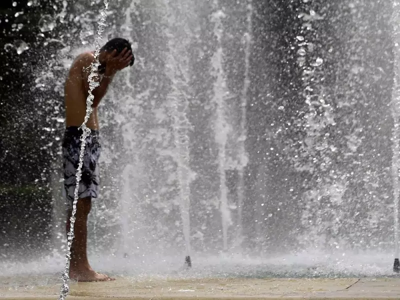 Climate Crisis Escalates: Urgent Action Needed as New Reports Reveal Alarming Trends