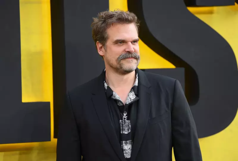 David Harbour Opens Up About Personal Struggles and 'Painful Mistakes' Following Split from Lily Allen