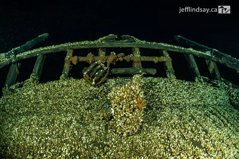Divers Discover Pristine 19th Century Shipwreck in Lake Ontario
