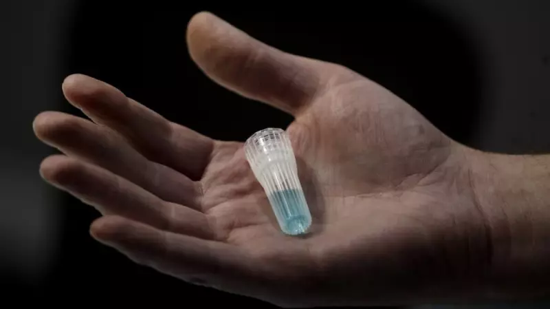 DNA Breakthrough Solves 20-Year-Old Cold Case: Body in Woods Identified