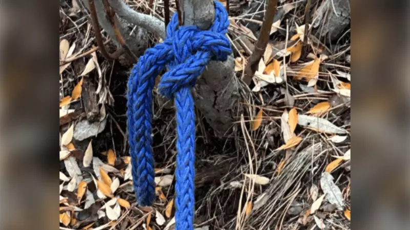 Dog Left Tethered to Die in Penticton Woods: BC SPCA Investigation