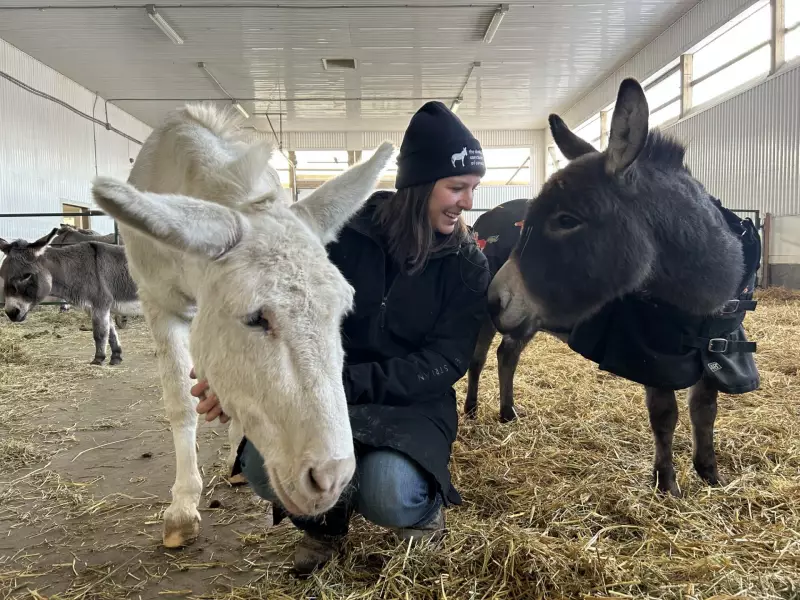 Donkey Sanctuary of Canada Launches Innovative Educational Tool