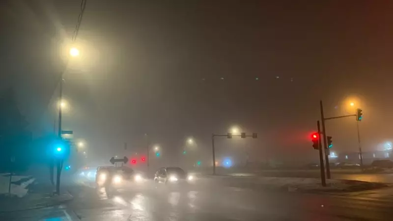 Driving on Summer Tires in Snow: CAA Quebec's Critical Advice