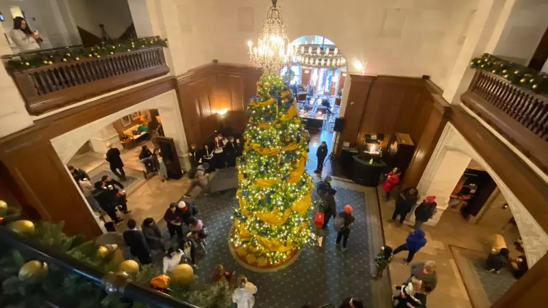 Edmonton's Hotel Macdonald Lights 2025 Christmas Tree for Charity